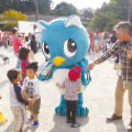 2015八千代どーんと祭