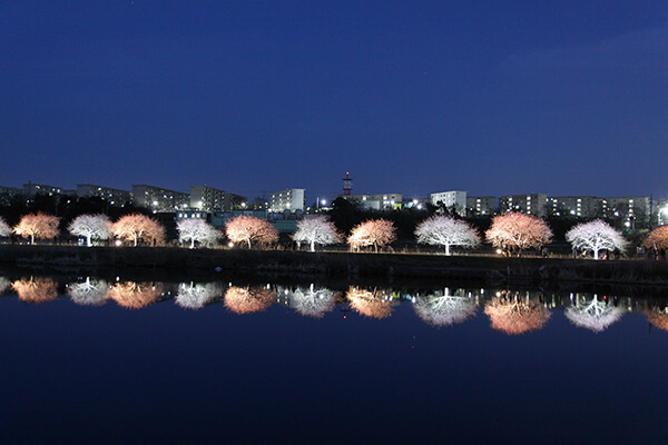地域生活情報紙うきうき 千葉県