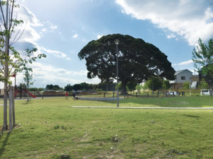 【印西市】印西牧の原の歴史〜ニュータウン開発前、印西に飛行場があった！〜