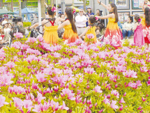 【八千代市】第16回 八千代ゆりのき台つつじ祭り