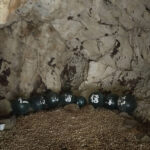 神秘的なワクワク体験！ 千葉 南房総をゆく